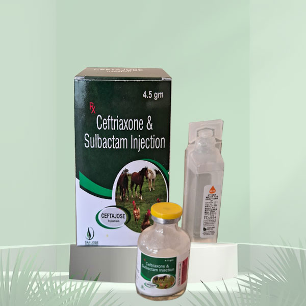 Ceftriaxone & Sulbactam